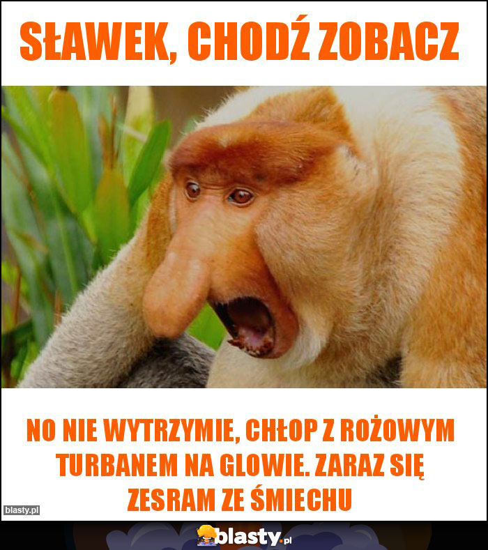 Sławek, chodź zobacz