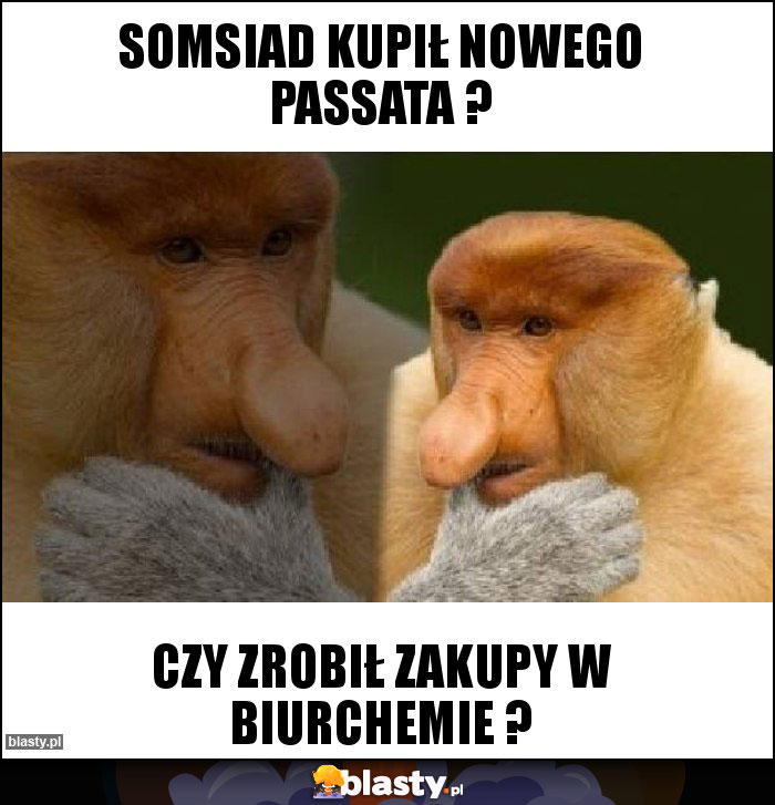 SOMSIAD KUPIŁ NOWEGO PASSATA ?