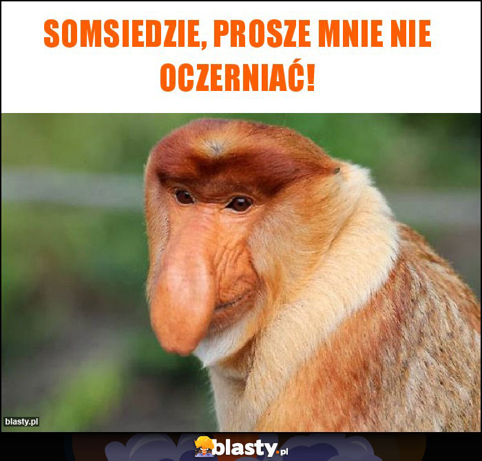 SOMSIEDZIE, PROSZE MNIE NIE OCZERNIAĆ!