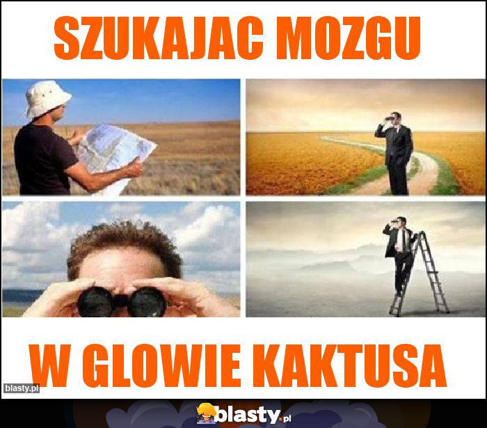 szukajac mozgu