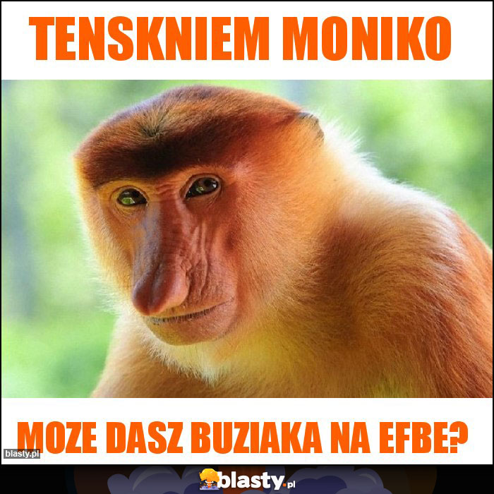 TensknieM Moniko