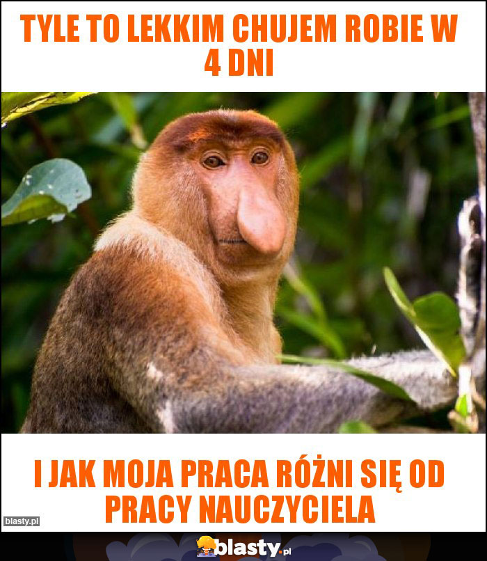 Tyle to lekkim chujem robie w 4 dni