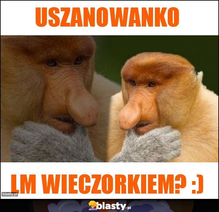 Uszanowanko