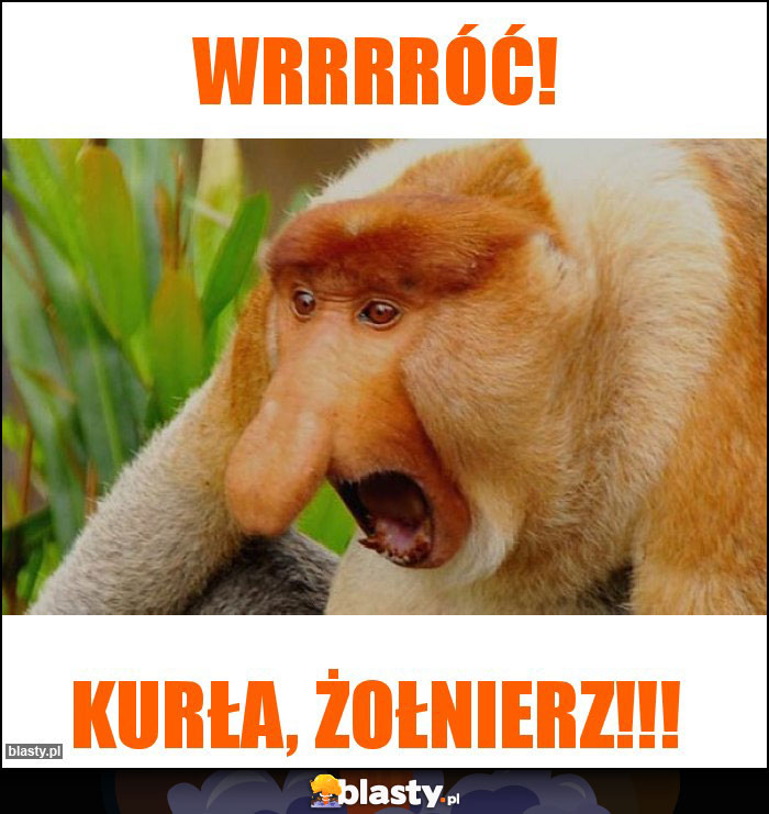 WRRRRÓĆ!