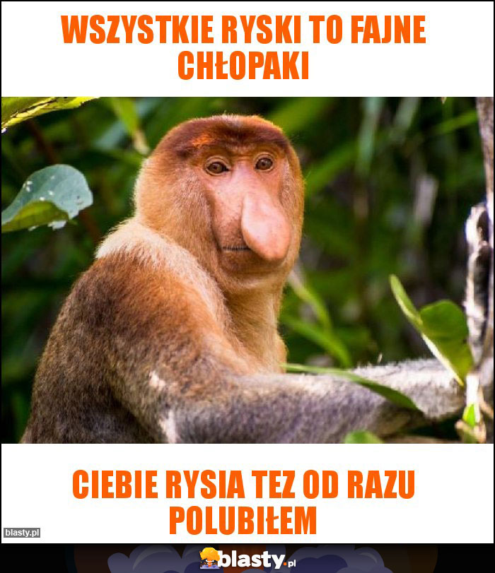 Wszystkie Ryski to fajne chłopaki