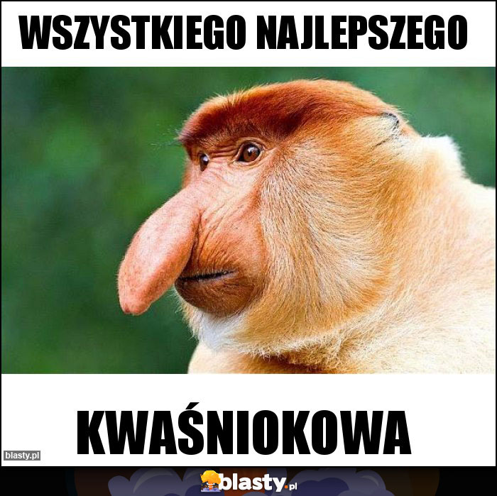Wszystkiego Najlepszego