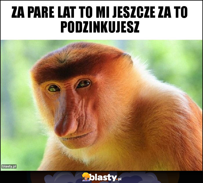 za pare lat to mi jeszcze za to podzinkujesz