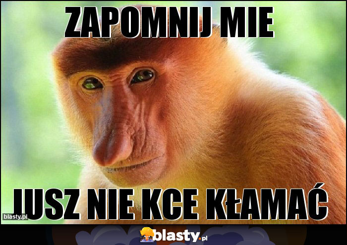 Zapomnij mie