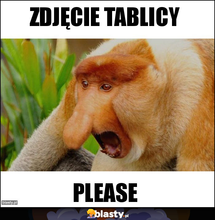 ZDJĘCIE TABLICY