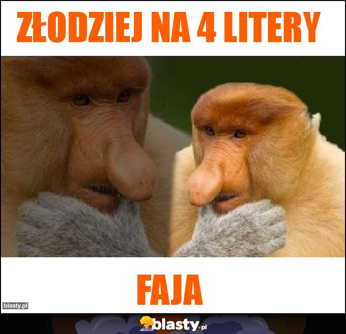 Złodziej na 4 litery