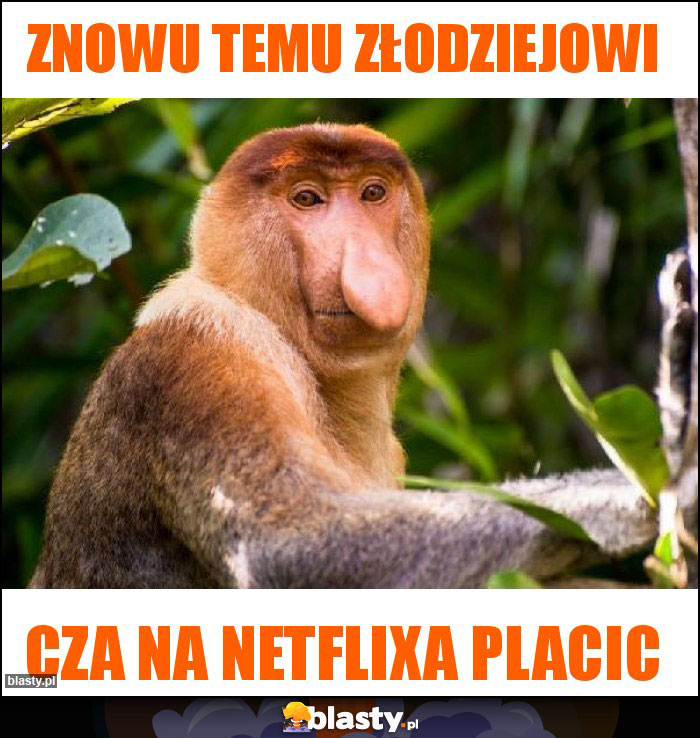 Znowu temu złodziejowi