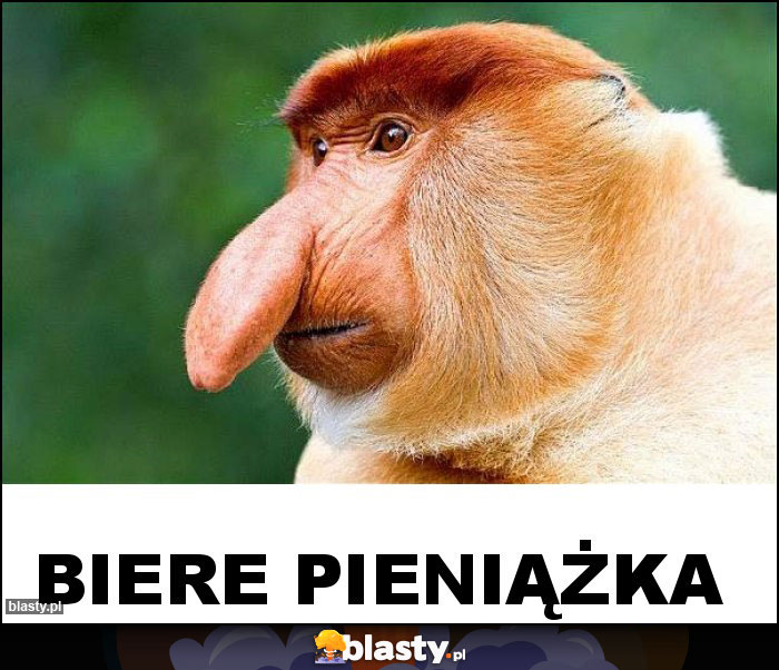 BIERE PIENIĄŻKA