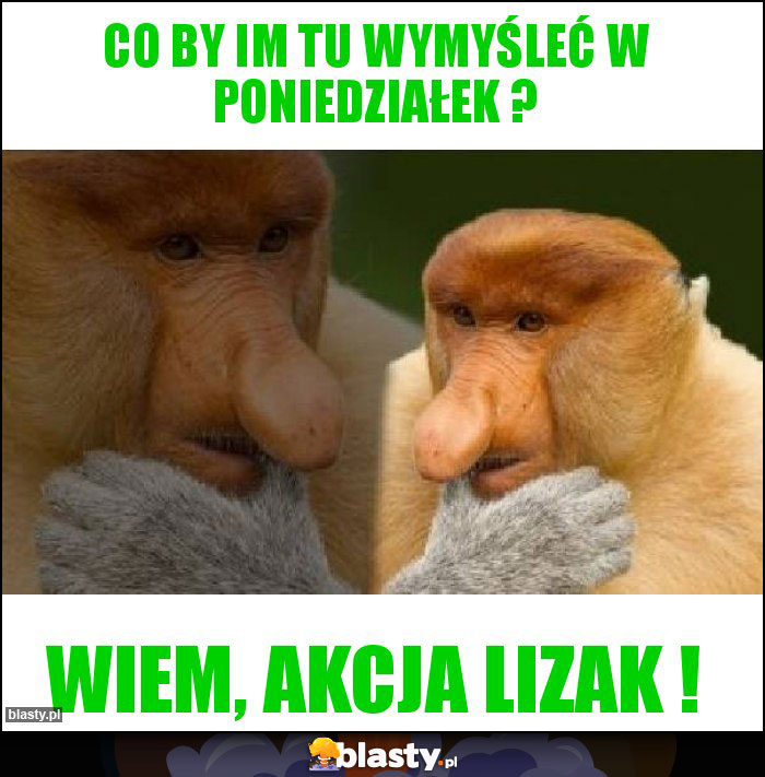 Co by im tu wymyśleć w poniedziałek ?