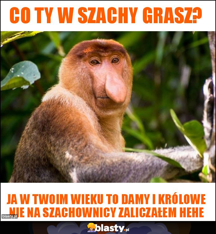 Co ty w szachy grasz?
