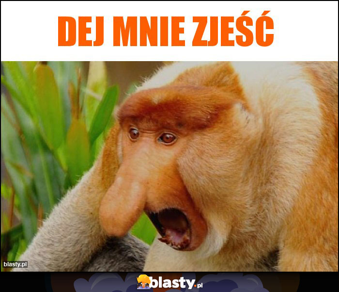 DEJ MNIE ZJEŚĆ