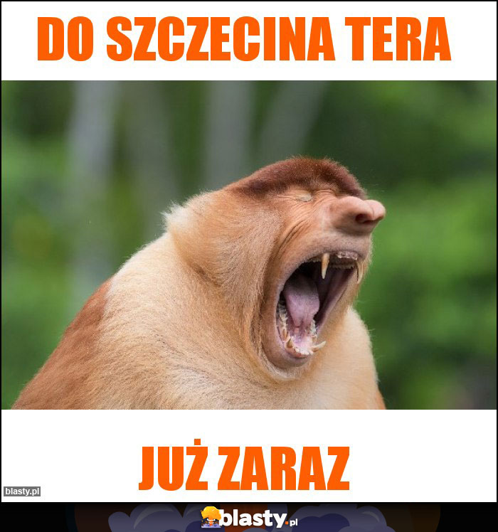 Do Szczecina tera