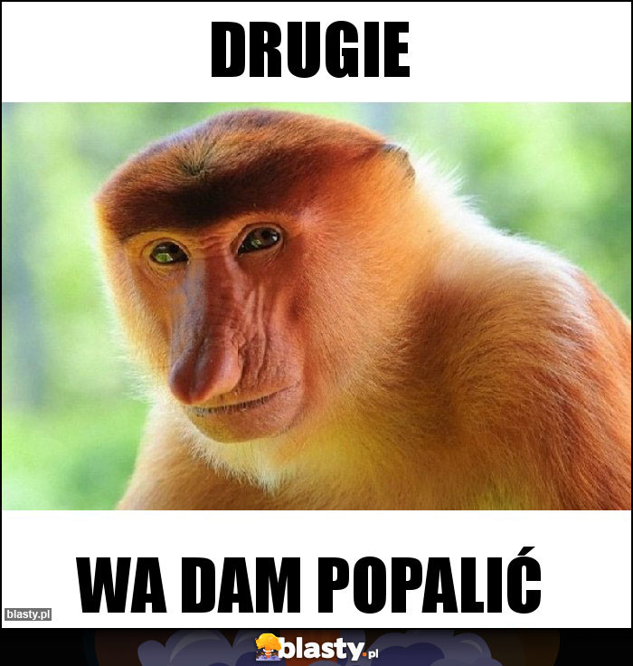 Drugie