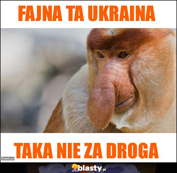Fajna ta Ukraina