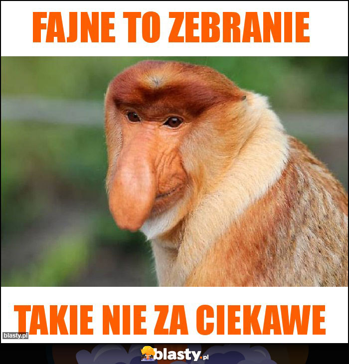Fajne to zebranie