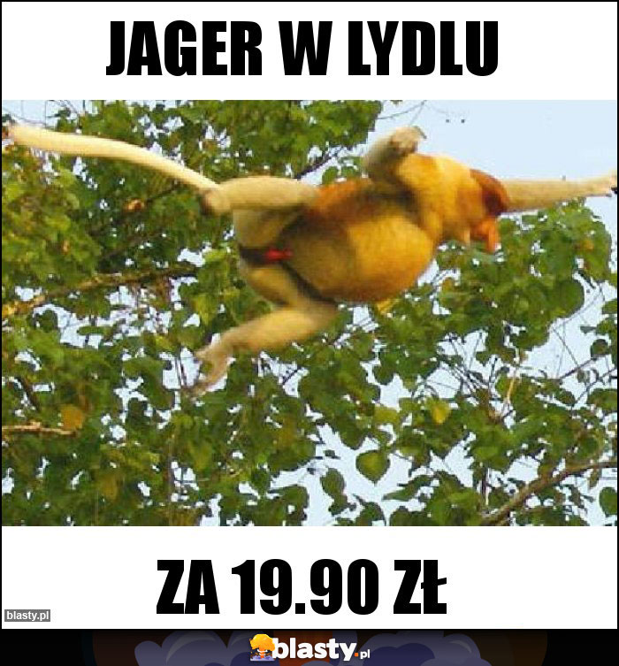 Jager w lydlu