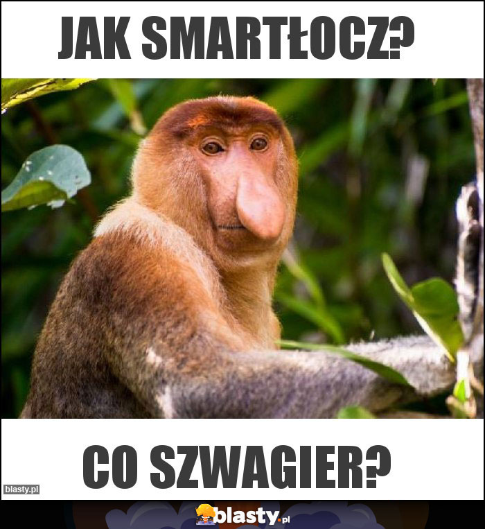Jak smartłocz?