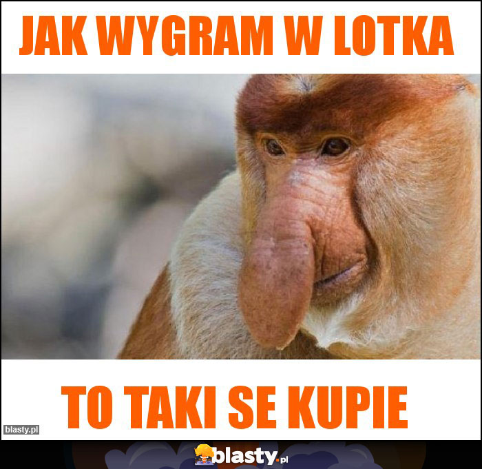 Jak wygram w lotka