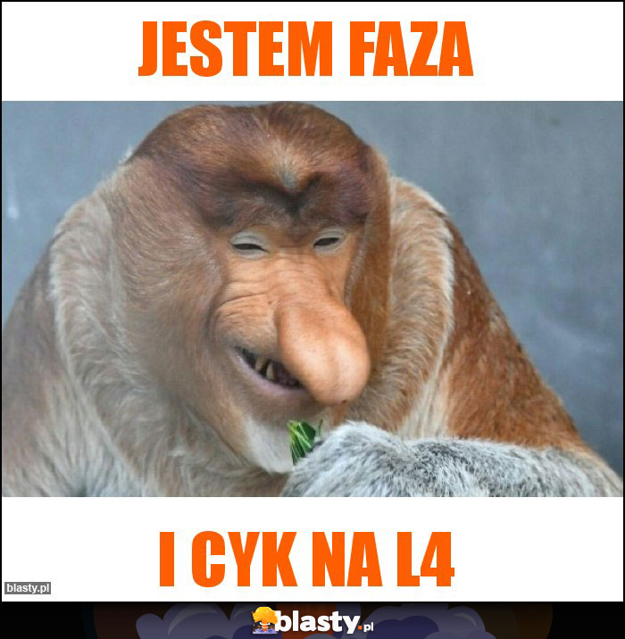 Jestem faza
