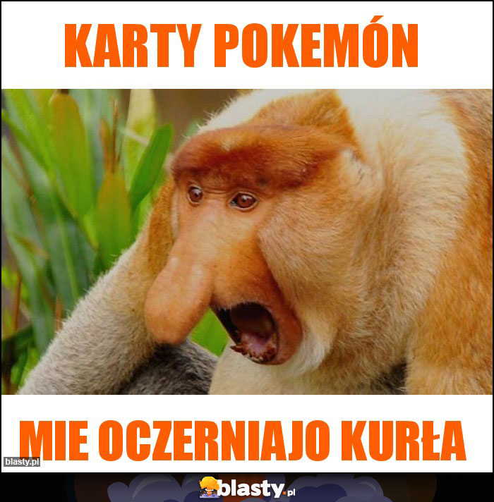 KARTY POKEMÓN