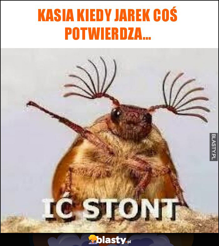 Kasia kiedy jarek coś potwierdza...