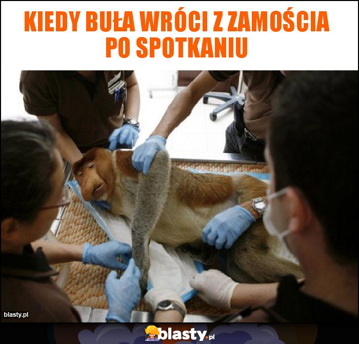 Kiedy Buła wróci z zamościa po spotkaniu