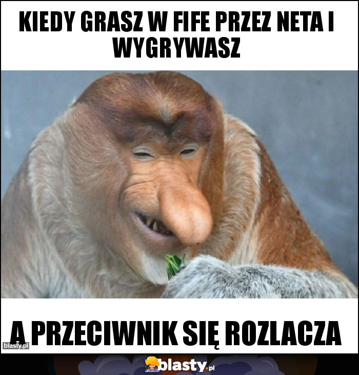Kiedy grasz w fife przez neta i wygrywasz