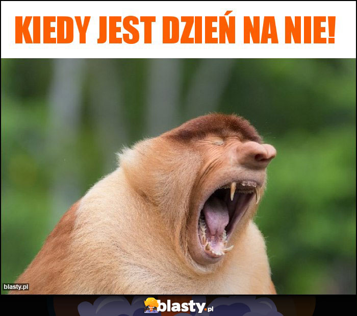 Kiedy jest dzień na nie!