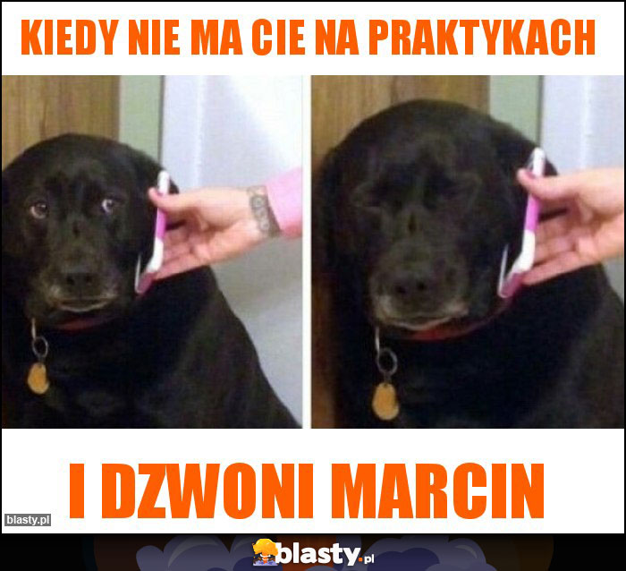 Kiedy nie ma cie na praktykach