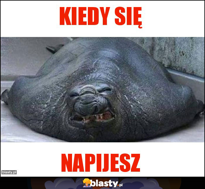 Kiedy się