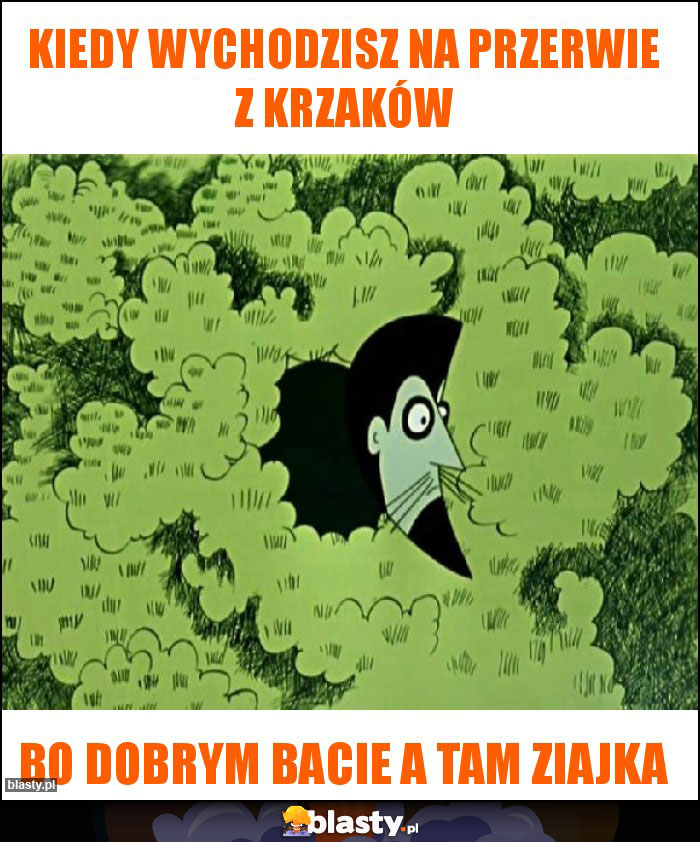 Kiedy wychodzisz na przerwie z krzaków