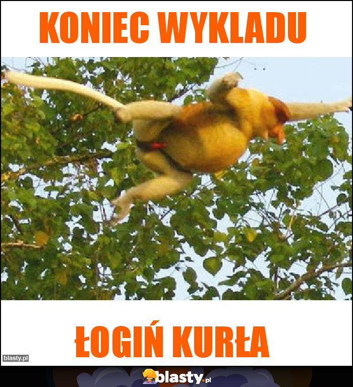 Koniec wykladu