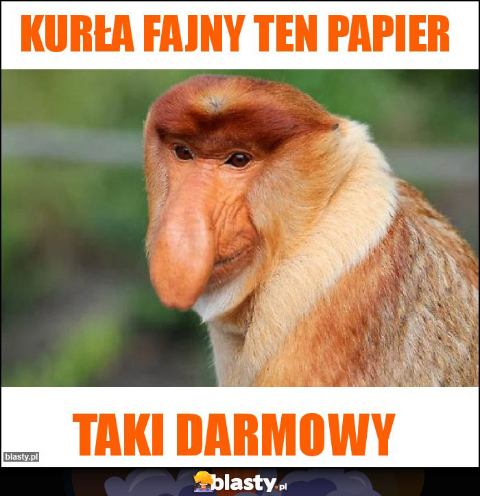 Kurła fajny ten papier