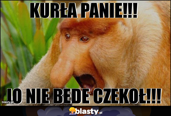 KURŁA PANIE!!!