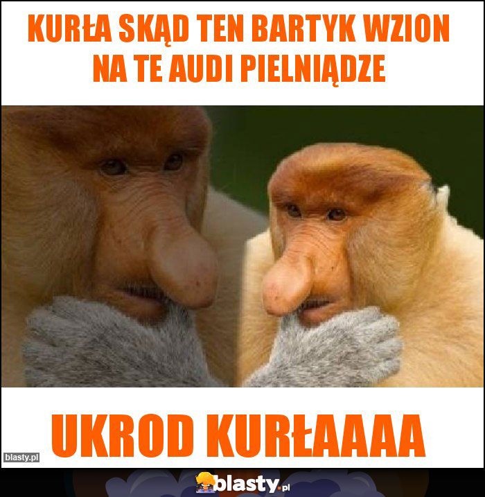 Kurła skąd ten bartyk wzion na te Audi pielniądze