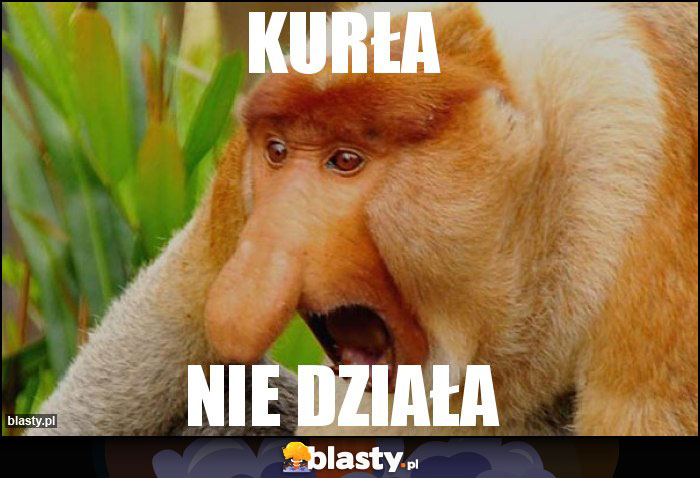 KURŁA