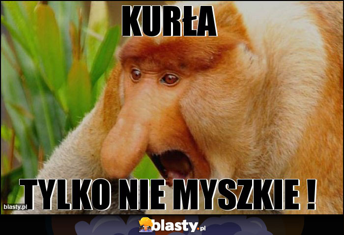 KURŁA