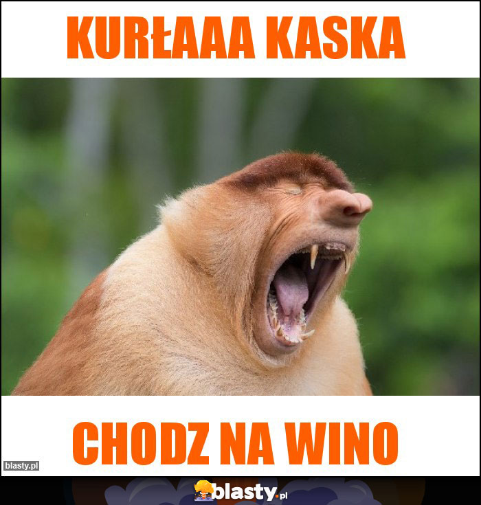 Kurłaaa kaska