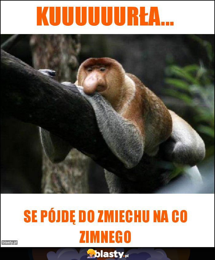 Kuuuuuurła...