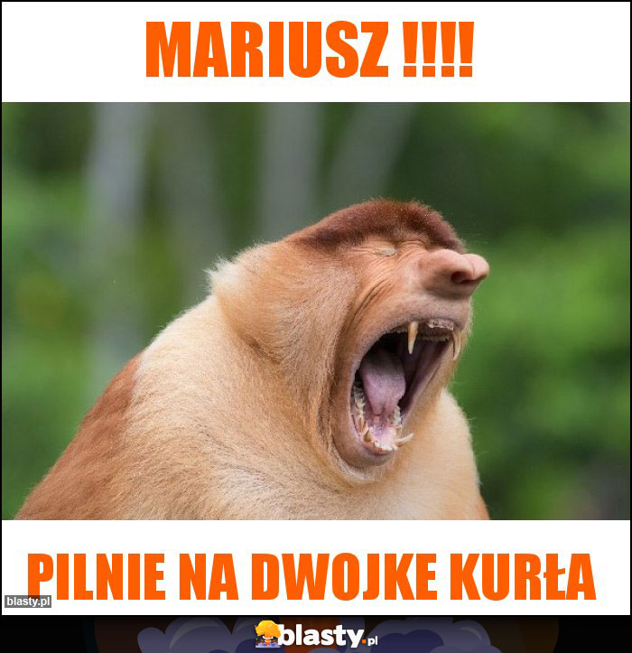 Mariusz !!!!