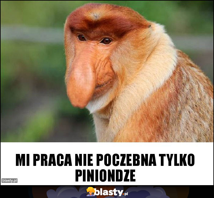 mi praca nie poczebna tylko piniondze