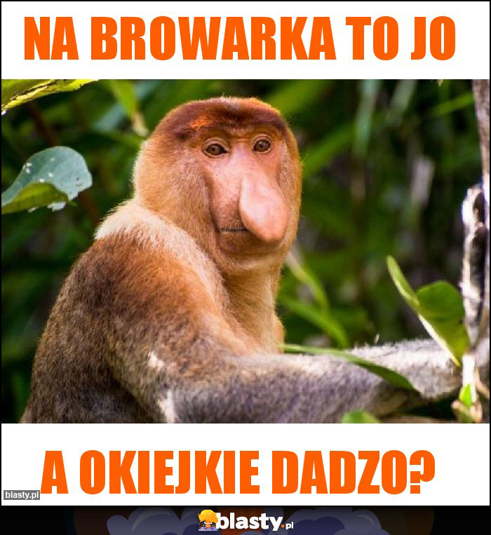 Na browarka to jo