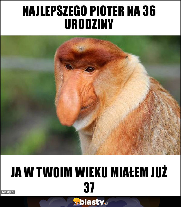 Najlepszego Pioter na 36 urodziny