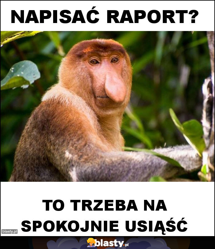 Napisać raport?