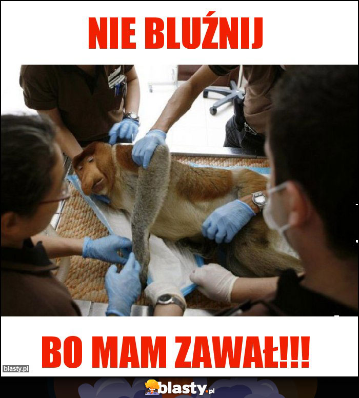 Nie bluźnij