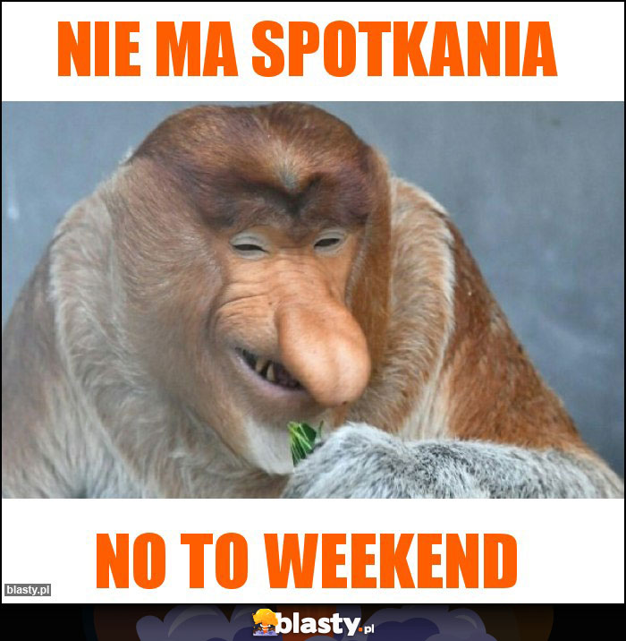 Nie ma spotkania